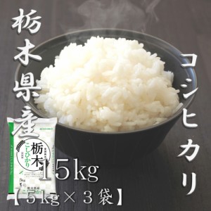 米 お米 令和5年産 栃木県 コシヒカリ 5kg×3袋 合計 15kg