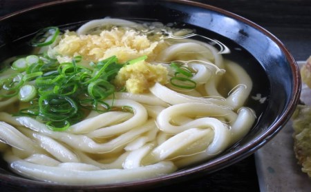 手打ち うどん 生うどん セット うどん さぬき市 うどん 特産品 うどん 牟礼製麺 うどん 讃岐うどん