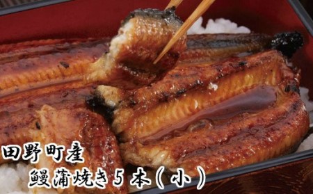  田野町産 うなぎ蒲焼き ５本（小）