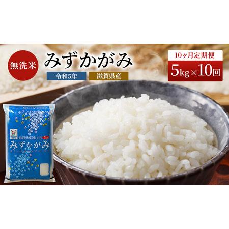 ふるさと納税 米 定期便 10ヶ月 みずかがみ BG無洗米 5kg  令和5年 ふるさと応援特別米 無洗米 お米 こめ コメ おこめ 白米 10回 お楽しみ 滋賀県豊郷町