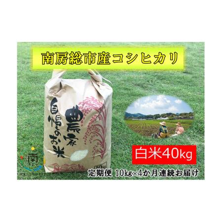 ふるさと納税 南房総市産コシヒカリ40kg（定期便10kg×4カ月） mi0018-0018 千葉県南房総市