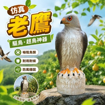 仿真老鷹✨ 假老鷹 驅鳥 農用趕鳥神器 立體防風 果園防鳥模型虹越樹脂塑料仿真老鷹嚇鳥驅鳥趕鳥神器樓頂陽臺裝飾仿生嚇鳥器