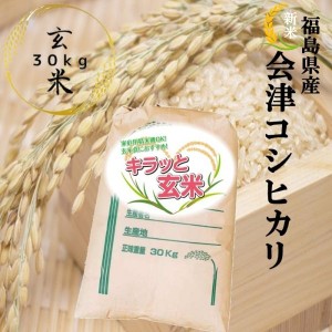 新米 玄米 米 30kg 会津コシヒカリ お米 30kg×1袋 キラッと玄米 令和5年産 福島県会津産 調整済み玄米 送料無料 こしひかり 米 30キロ