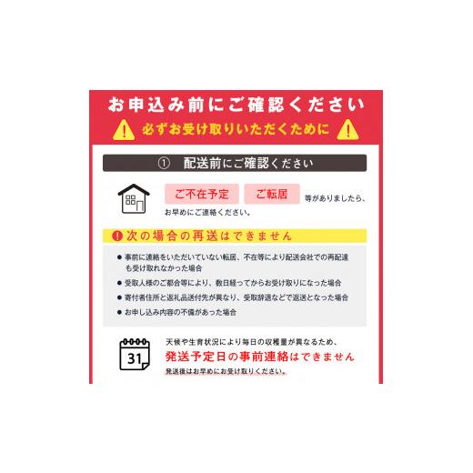 ふるさと納税 山形県 寒河江市 令和6年産 特秀品 さくらんぼ「 佐藤錦 」600g (300g×2パック) Lサイズ以上 2024年産 山形県産 山形産 【2024年6月中旬頃〜下…