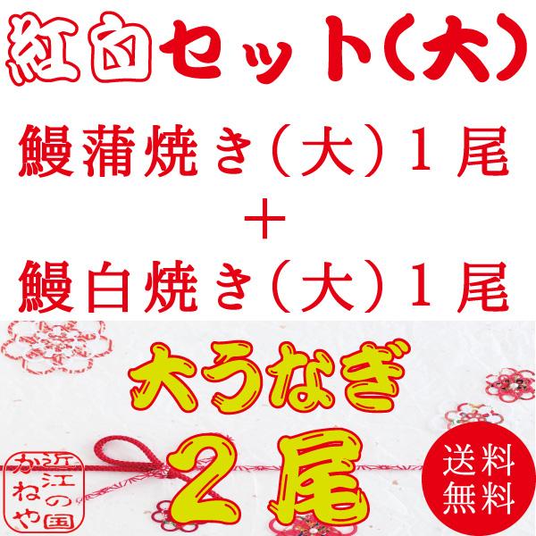 送料無料！紅白２尾セット（大）国産 活鰻 炭火焼 炭焼き 蒲焼き 大サイズ 200〜240グラム 蒲焼き 白焼き各1尾 合計2尾 うなぎ 鰻 ウナギ