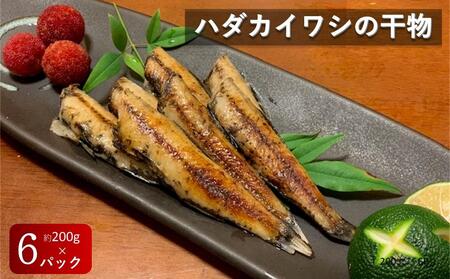 高知県産 ハダカイワシ干物 約200ｇ× 6パック