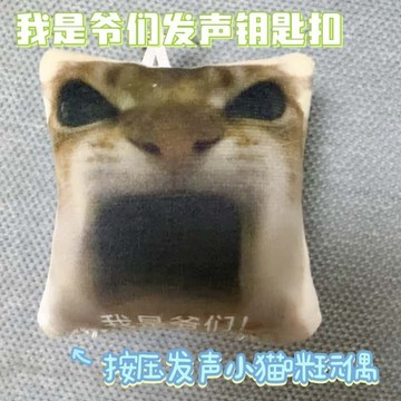 新上架👉我是爺們! 語音按鍵玩偶按壓發聲掛件何晨光抽象毛絨搞笑鑰匙扣交換禮物 送朋友禮物