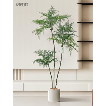 羅曼媽媽藍花楹仿真綠植高端輕奢假綠植盆栽客廳室內落地擺件盆景