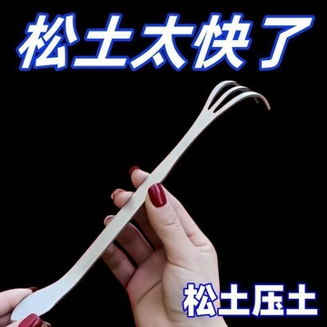 🔥臺灣出貨🔥鬆土耙子 盆景耙子 精工加長盆景耙子 不鏽鋼兩用手耙 雙頭壓土刀 園林手工盆景工具