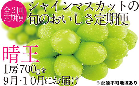 ぶどう 2024年 先行予約 9月・10月発送 シャイン マスカット 晴王 1房 約700g ブドウ 葡萄  岡山県産 国産 フルーツ 果物 ギフト