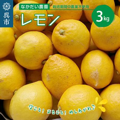 ふるさと納税 呉市 栽培期間中農薬不使用「レモン」約3kg