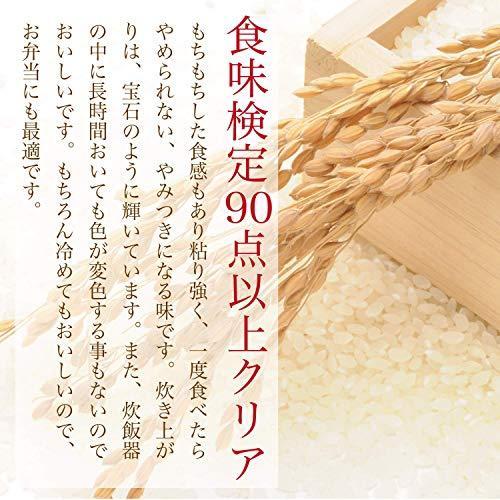 新米 令和3年 特A コシヒカリ 常陸小田米 10kg (5kg×2) 五ツ星お米マイスター 食味検定90点以上 茨城県産 筑波農場