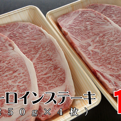 牛肉 飛騨牛 サーロイン ステーキ セット 1ｋｇ （ 1枚 約250ｇ × 4枚 ） 黒毛和牛 Ａ5 美味しい お肉 牛 肉 和牛 サーロインステーキ 