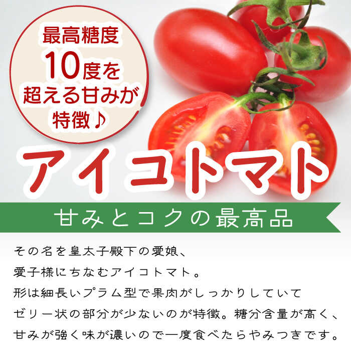 アイコトマト 約 3kg とまと トマト 南島原市   長崎県農産品流通合同会社 [SCB052]