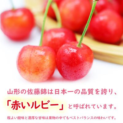 ふるさと納税 山形県 特秀　山形県産さくらんぼ(佐藤錦)500g×2パック