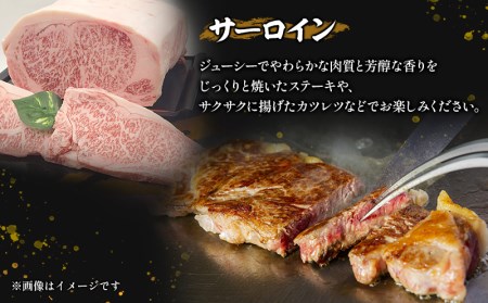 《年内発送》宮崎牛サーロインステーキ 2枚(計400g)　肉 牛