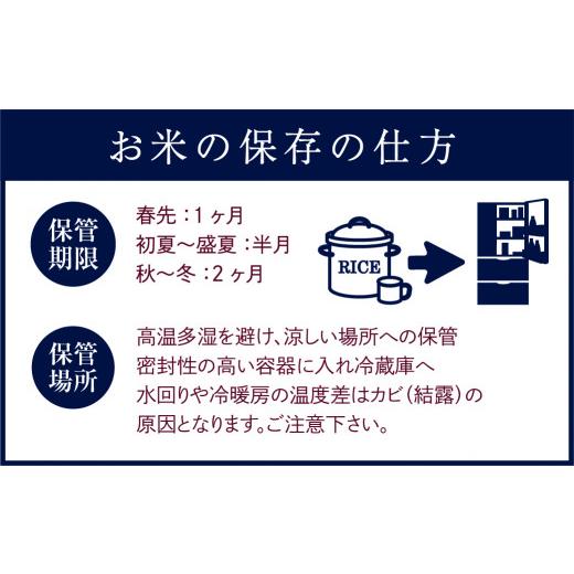 ふるさと納税 福島県 田村市 ＼ 年内発送 12／24(日)決済完了分まで！／定期便6回 田村産 コシヒカリ10kg 毎月 お届け お米 福島県 田村…