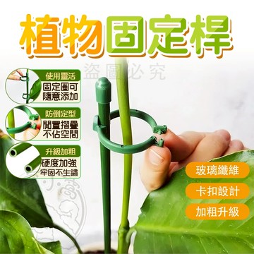 💥卡扣固定💥植物支撐架 卡扣定位 可調尺碼 爬藤專架 蘭花護架 防鏽堅固 易拆易裝 室內外適 必備良品
