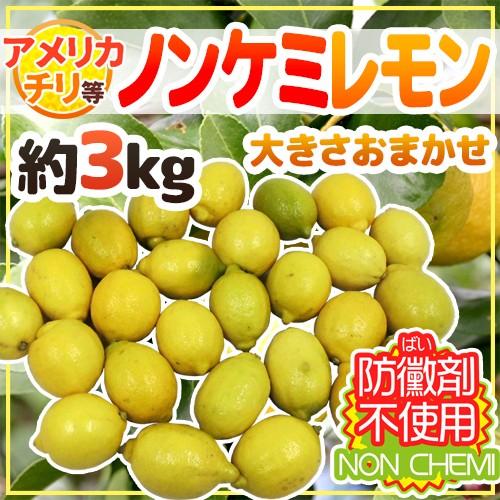 チリ・アメリカ産など ”ノンケミレモン” 大きさおまかせ 約3kg 安心の防ばい剤不使用！ノンケミカル 防黴剤（防かび剤）不使用