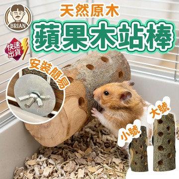 蘋果木站棒【布萊恩👨🏻隔日到貨】蘋果枝磨牙棒 防咬籠磨牙棒 鸚鵡啃咬玩具 掛籠站棒 兔子磨牙玩具 木質站桿 小寵用品