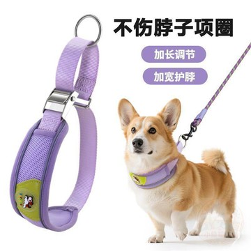 🔥限時優惠🔥狗 項圈 中型犬可調節款不勒脖子小狗套頭脖套馬犬金毛柯基寵物脖圈