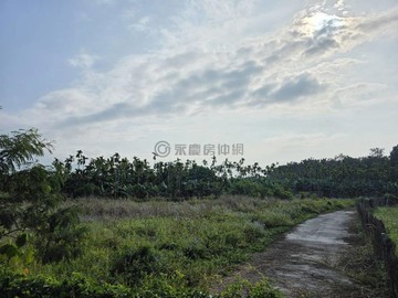 萬巒河堤步道都計農｜屏東縣萬巒鄉官倉段