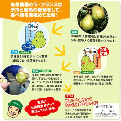 ふるさと納税 寒河江市 山形県産「追熟 ラ・フランス」5kg(14〜18玉)　015-B10