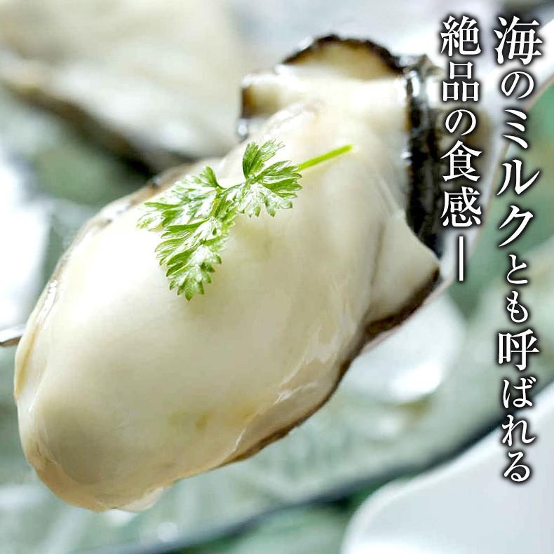 かき 牡蠣 冷凍 広島県産 地御前カキ 1kg お取り寄せ グルメ プレゼント お歳暮 2023 ギフト