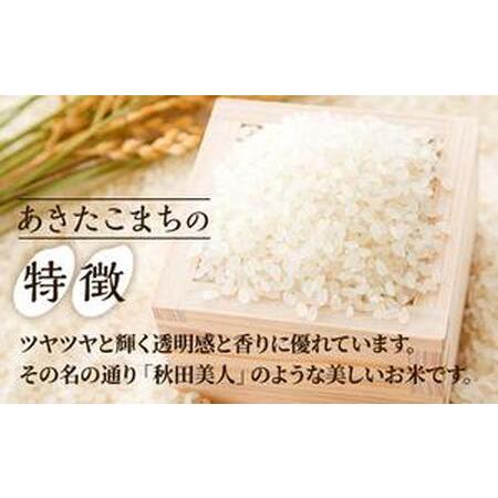 ふるさと納税 定期便 令和5年産 あきたこまち 精米 5kg×1袋 6ヶ月連続発送（合計 30kg） 秋田食糧卸販売 秋田県男鹿市