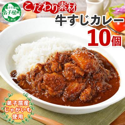 ふるさと納税 弟子屈町 弟子屈牛すじカレー(中辛) 10個 779