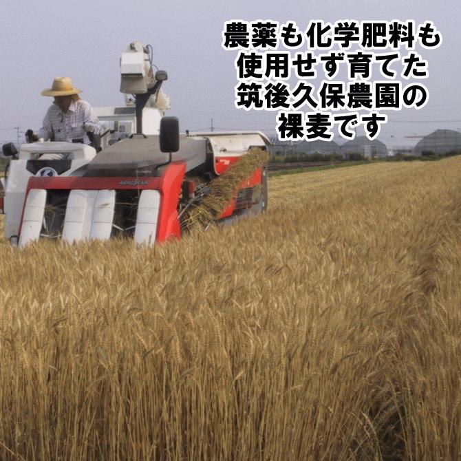 押麦 500g 4袋 無農薬 大麦 福岡県産 筑後久保農園