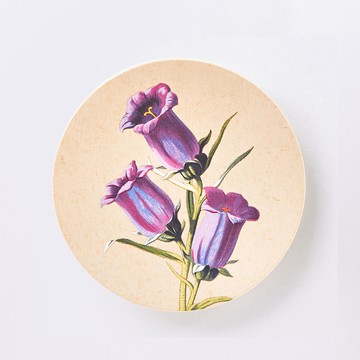 花樣年華 15cm 合成樹脂圓盤｜牽牛｜單品