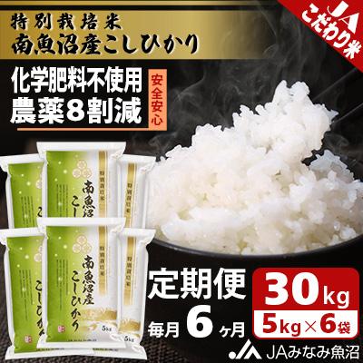 ふるさと納税 南魚沼市 特別栽培米南魚沼産こしひかり8割減 精米 30kg(5kg×6)全6回