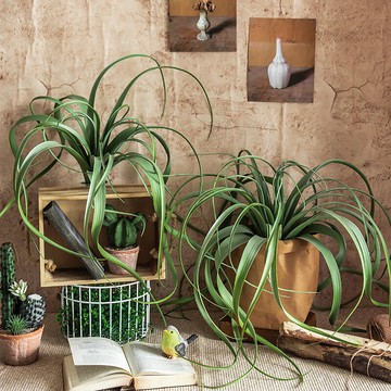 仿真植物空氣鳳梨高檔假花多肉裝飾壁掛綠植擺件插花擺設造景設計