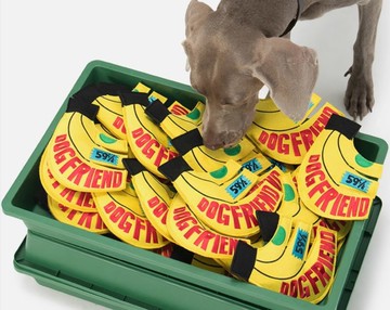 【香蕉飛盤】耐咬磨牙發聲巡迴飛盤玩具