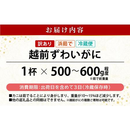 ふるさと納税 浜茹で 越前がに 約500〜600g × 1杯（茹で前重量） 食べ方しおり付き【雄 ズワイガニ ずわいがに かに カニ 蟹 姿 .. 福井県越前町