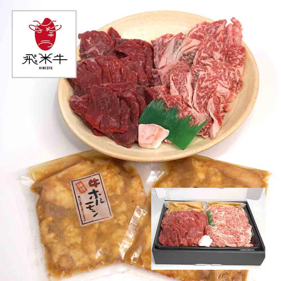 牛肉 セット 詰め合わせ 焼肉セット 1.2kg （霜降り400ｇ、赤身 400g、味付けホルモン 200g×2） 赤身がうまい 飛騨古川産 黒毛和牛 飛米牛 MAH-...