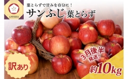  りんご 約10kg サンふじ 葉とらず 青森