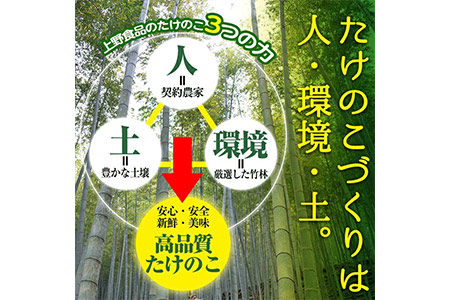 akune-2-41 ＜先行予約受付中！2024年3月から順次発送予定＞数量限定！朝堀り青果たけのこ(約1.5kg)国産 新鮮 タケノコ 竹の子 筍 野菜 春 旬 期間限定2-41