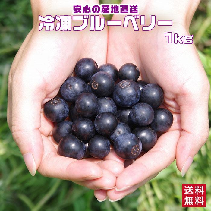 今季収穫分国産 鹿児島県産 冷凍ブルーベリー 1kg 送料無料たっぷり 大容量 冷凍果物 くだもの フルーツ ブルーベリー お取り寄せ 業務用 自宅用 応援