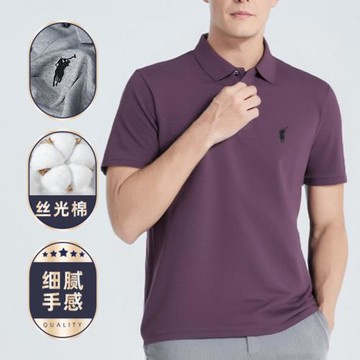 polo衫夏季新款男士翻領高級感2025新款中老年人透氣薄款商務男裝