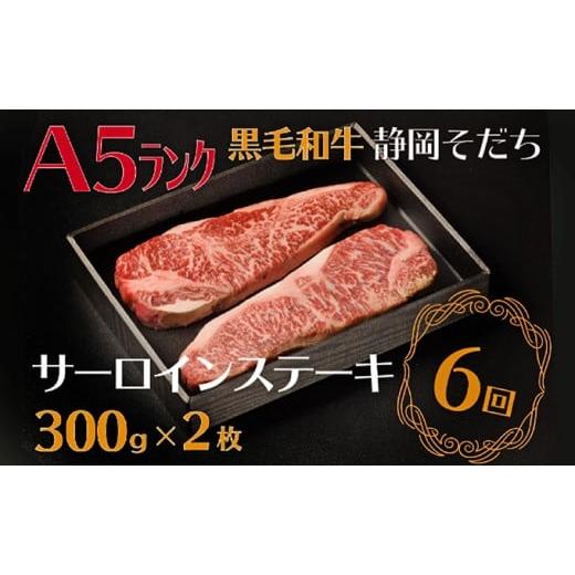 ふるさと納税 静岡県 藤枝市 定期便 6回 6ヶ月 牛肉 サーロイン ステーキ 300 × 2枚 厳選 国産 和牛 静岡そだち お肉 A5 ランク 高級 BBQ バーベキュー  静岡…