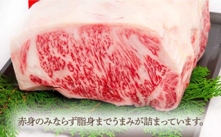 長崎和牛 サーロイン ステーキ 約230g×2枚   肉 牛肉 長崎 2人前 ブランド牛 ステーキ肉 ステーキ 高級ステーキ 高品質ステーキ サーロイン 高品質サーロイン 長崎サーロイン 長崎ステーキ 長崎和牛ステーキ 国産和牛ステーキ 国産牛サーロイン 国産牛肉 贈答用ステーキ 贈答用サーロインステーキ 人気サーロイン 川棚ステーキ 川棚町サーロインステーキ ステーキ肉 長崎和牛ステーキ肉 人気ステーキ 高級ステーキ 長崎 長崎県 長崎和牛 国産ステーキ[OAA005]