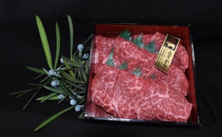 焼肉食べ比べ 8種セット 合計1.6kg