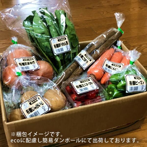 日本の有機野菜セット 旬のおまかせ7種類 全国ご当地生産者のこだわり有機栽培 ベジタブル スムージー 野菜材料 通販 人気［お歳暮 ギフト プレゼント］