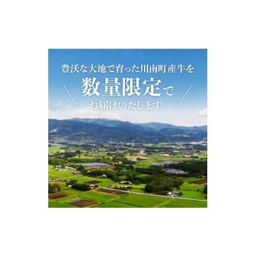 ふるさと納税 宮崎県 川南町 ※令和6年2月発送※ 川南町産牛ヒレステーキ300g