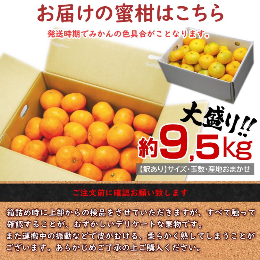 温州みかん　約9.5kg　バラ詰め　産地箱　訳あり　サイズ・玉数・産地おまかせ