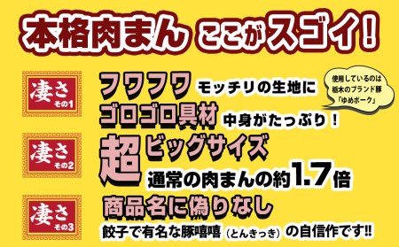 フタバ食品　豚嘻嘻（とんきっき）の本格肉まん　2個×5袋　計10個　1.6kg