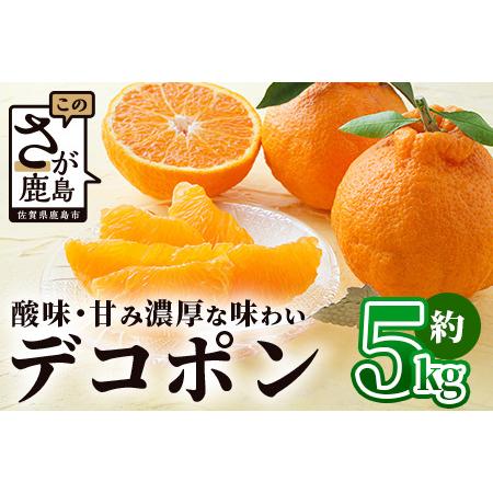 ふるさと納税 基準クリアの高級柑橘約5kg 不知火 しらぬい でこぽん みかん 蜜柑 ミカン オレンジ 柑橘 フルーツ 果物 贈り物 贈答 .. 佐賀県鹿島市