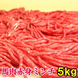 馬肉上赤身ミンチ 5kg （200g×25パック） ヘルシーな馬肉ハンバーグ 馬肉メンチカツ 馬肉コロッケ に 馬肉ミンチ ミンチ 挽肉 挽き肉 ひ